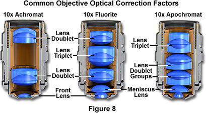 confocalobjectivesfigure8.jpg