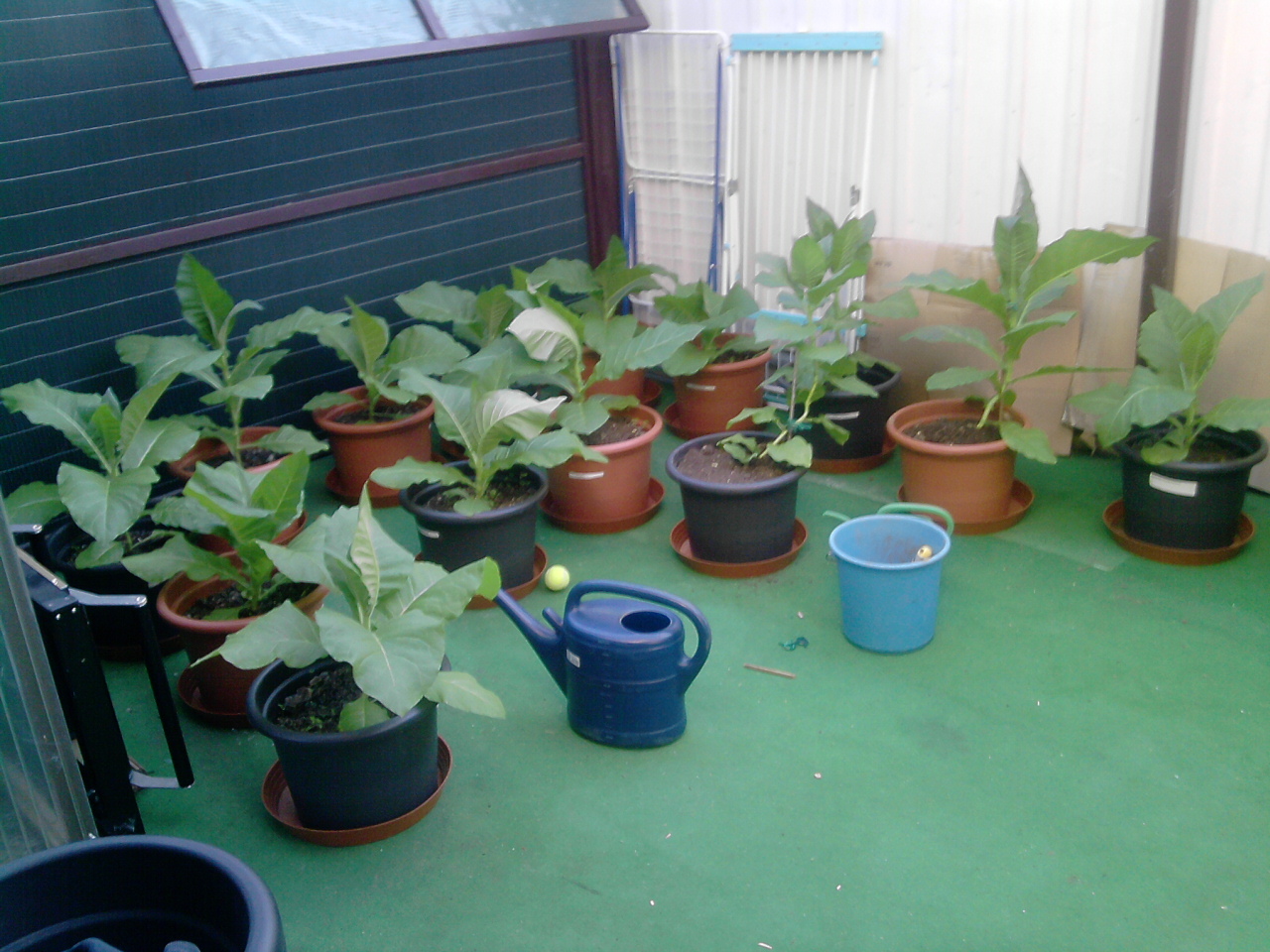 p14061220016FNTB.jpg