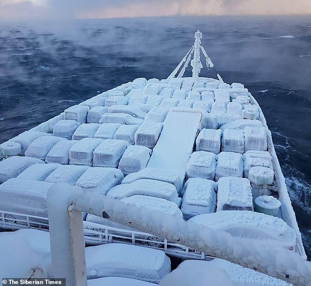 The ice-covered cars can be seen from on board the ship. Local sea captain Pyotr Osichansky, 72, said: 'It's December, and the sea is rough and windy'