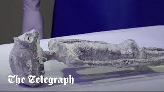 www.telegraph.co.uk