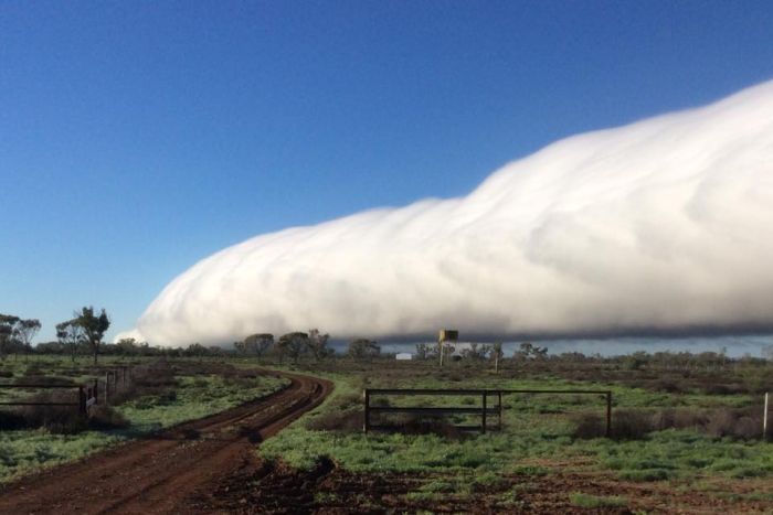 morning-glory-cloud-queensland.jpg