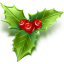 holly.png