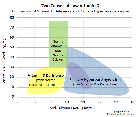 VitaminDvsCalcium2.gif