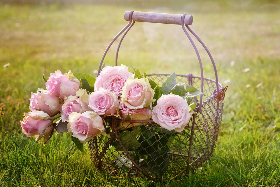 Roses, Flowers, Basket, Pink Roses, Pink Flowers, Bloom
