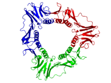 220px-1CZD.png