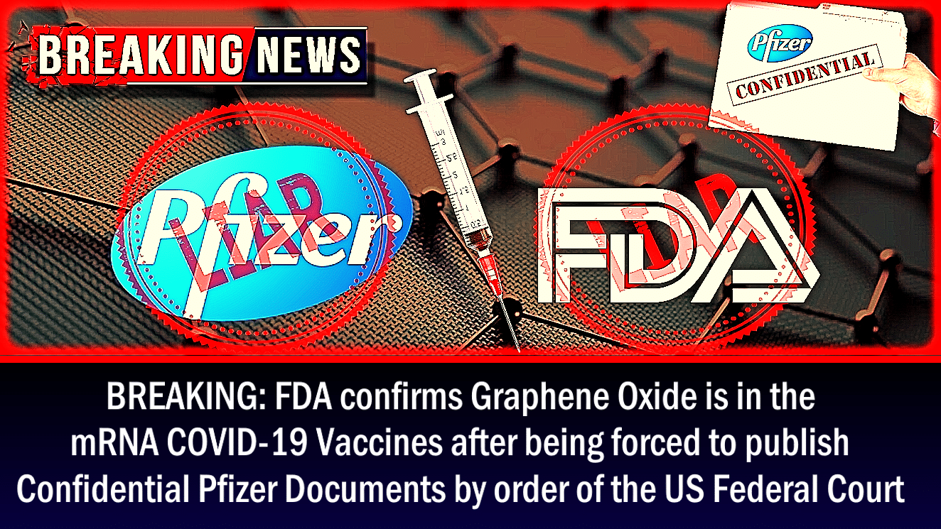 expose-news.com