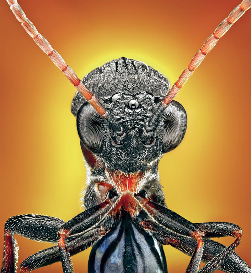animal-5.jpg