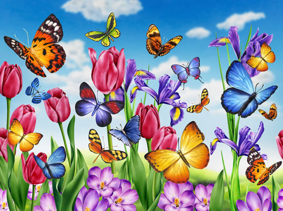 butterflies-flowers.jpg