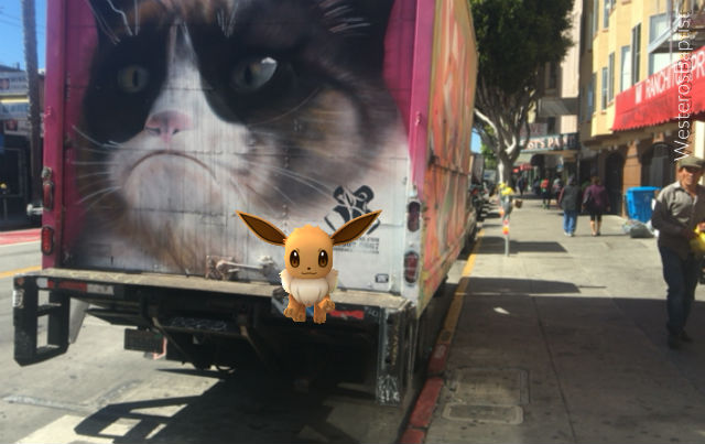 pokemon_header.jpg
