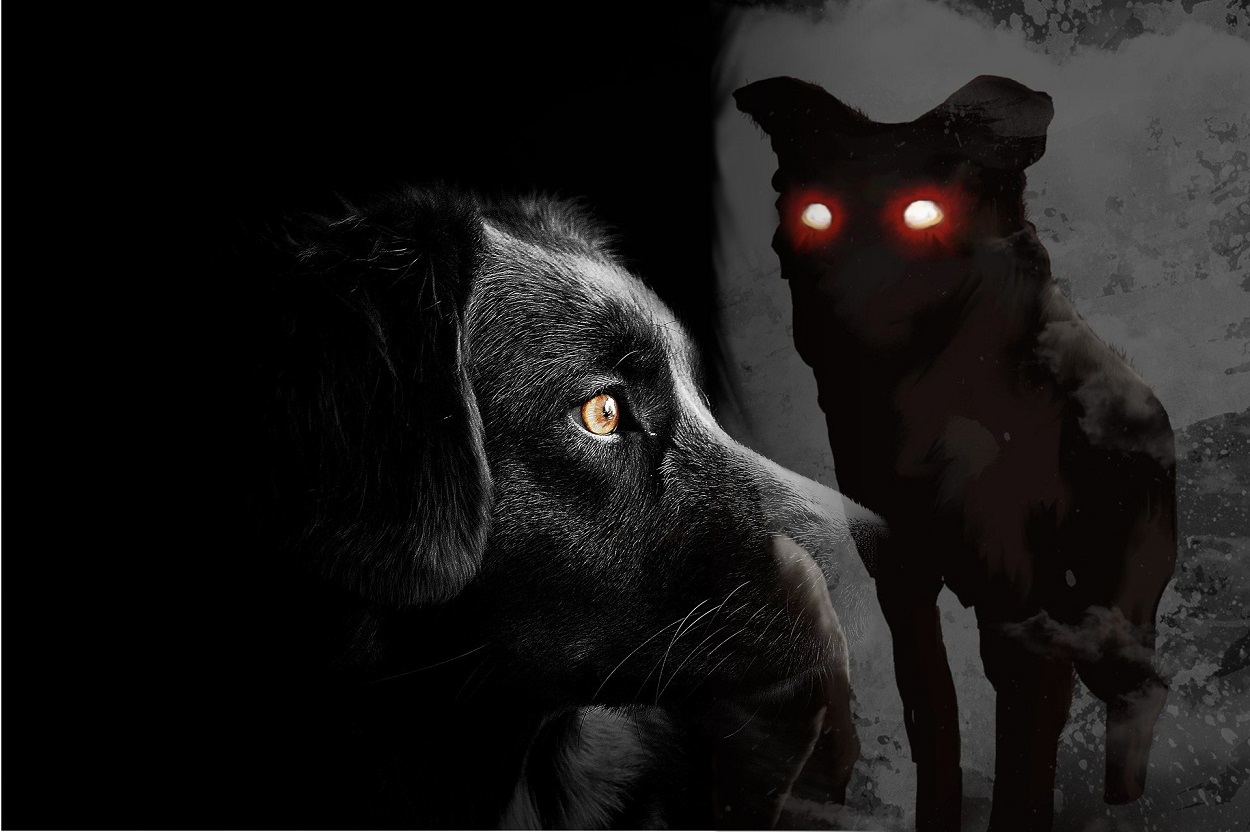 www.ufoinsight.com