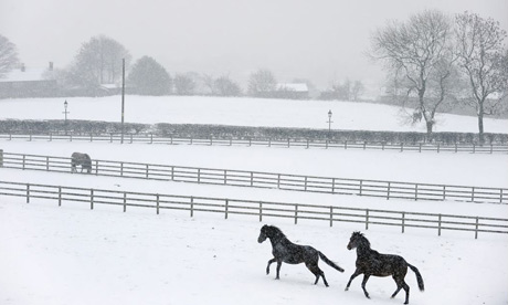 snow460x276.jpg