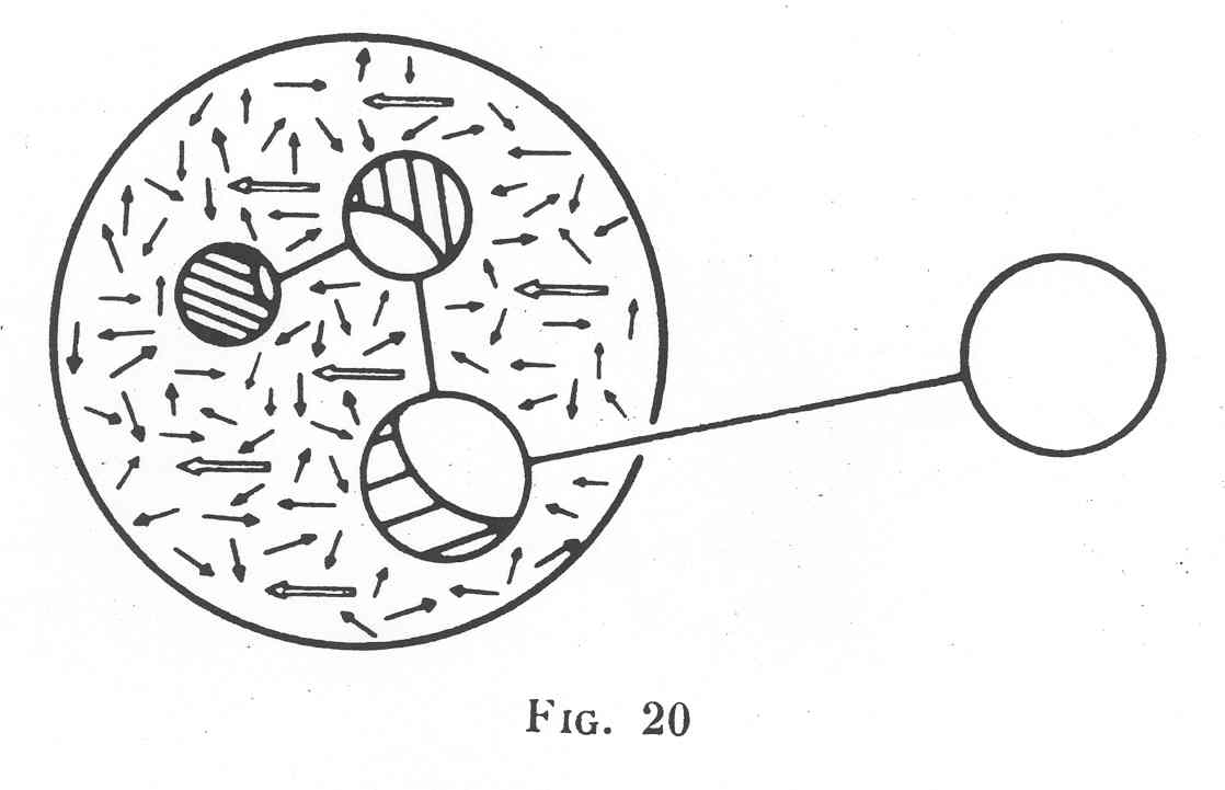 fig_20.jpg