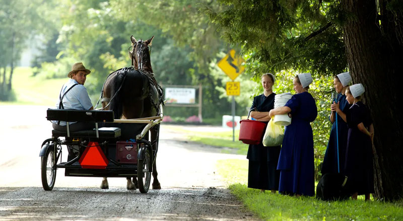 amish-90-times-lower-deaths-mortality-unvaxxed.jpg