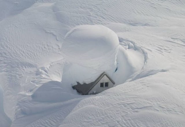 snowbrains.com