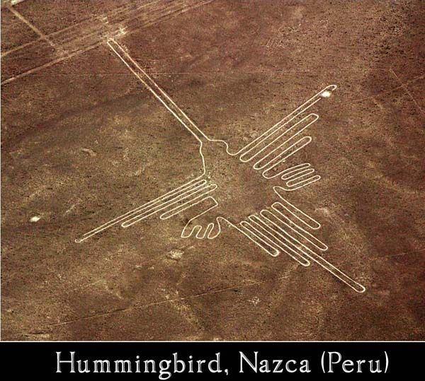 nazca_bird.jpg