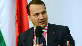 Ex-Polish FM names two major Ukrainian problems  