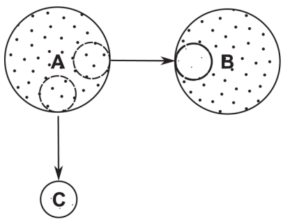 diagram.png
