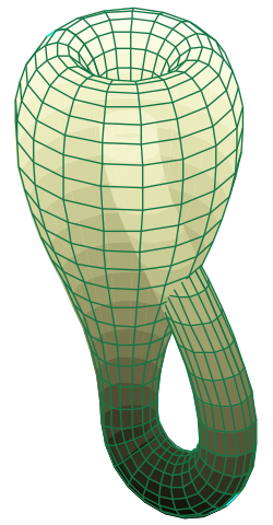 250px-Klein_bottle.svg.png