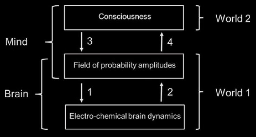 ark-jadczyk.blogspot.com