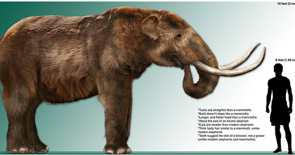 hueyatlaco.blogspot.com