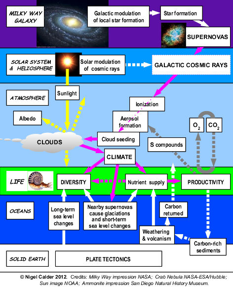 flow-chart-nc-2012.jpg