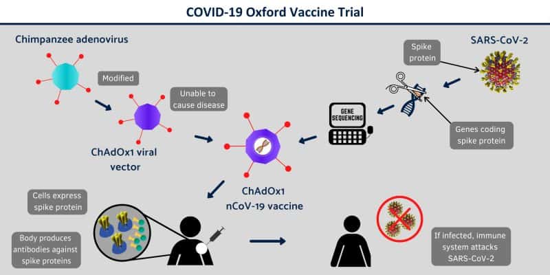 covid-19_vaccine_infographic-3-800x400.jpg