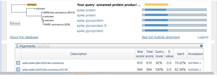 spike-protein-tree.jpg