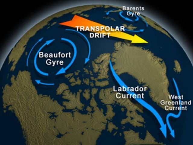 barents-gyre-beaufort-labrador-current-circuits.jpg