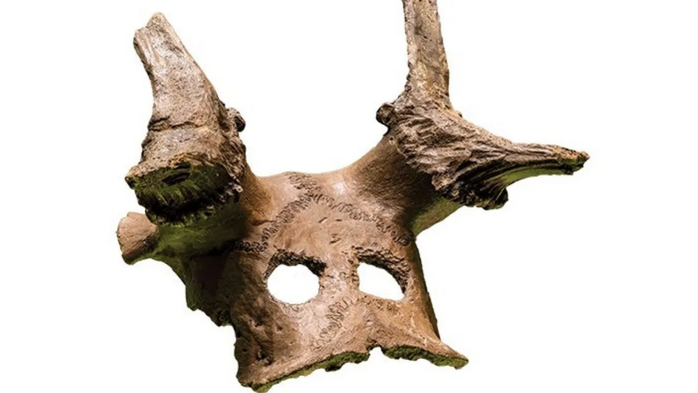 A Mesolithic shaman’s deer headdress from Star Carr in northern England. Source.