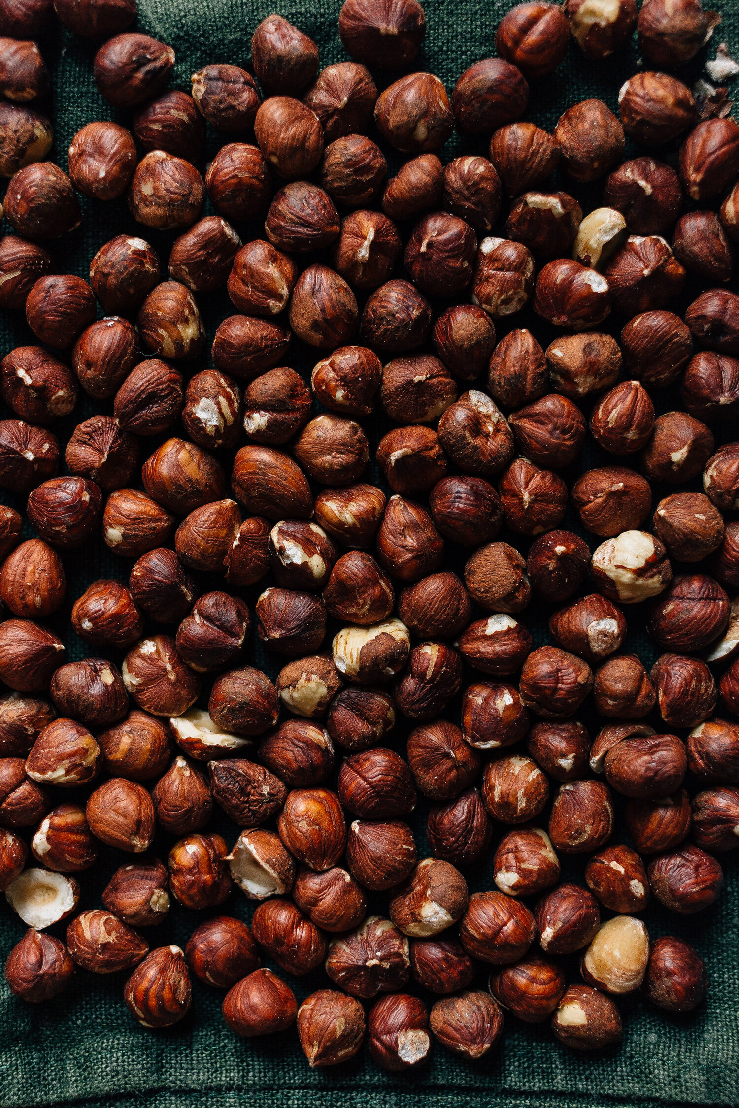 hazelnuts filberts nuts shelled mesolithic staple crop food native indigenous hunter gatherer europe