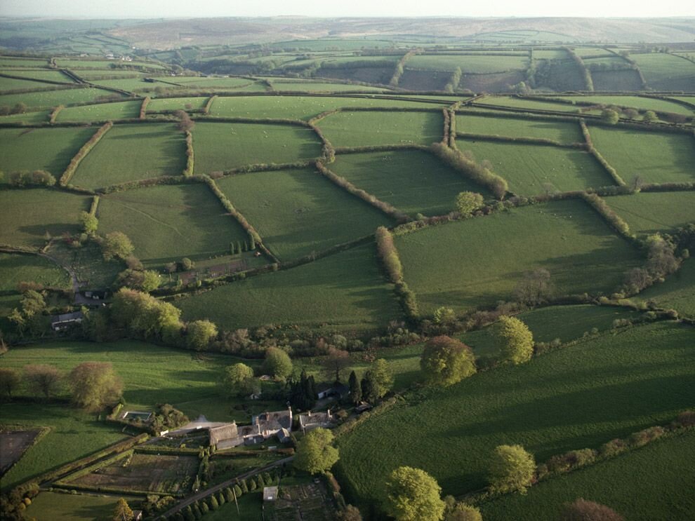 hedegrows crisscrossing landscape old fields and farms europe england hedge biodiversity national geographic patchwork quilts of english countryside