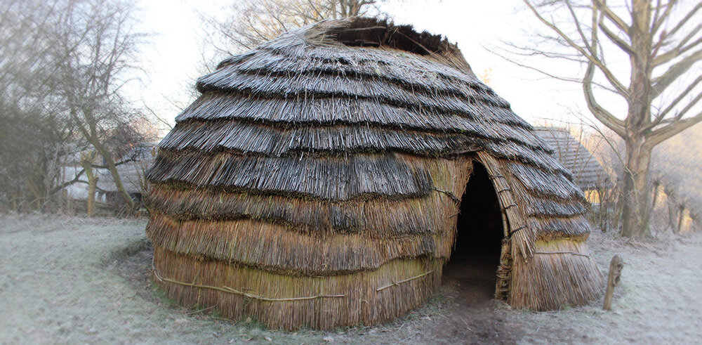 Mesolithic people constructed their houses from locally-available materials. Hazel poles often comprised the skeleton of the structure, and reeds like Phragmites australis (now endangered in Europe, but a common invasive in North America) were used …