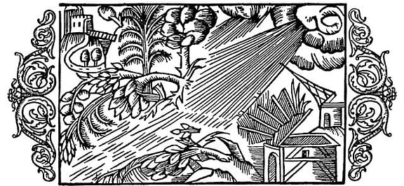 A wind storm is blowing from right to left on the picture. A tree is pulled up from the ground. The church to the right loses its spire and the house nearby loses its roof. From Olaus Magnus 16th century work Historia de gentibus septentrionalibus