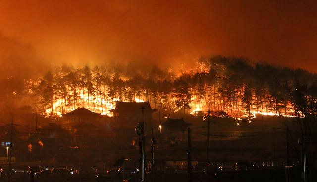 Flames are seen during a wildfire in Donghae, South Korea, April 5, 2019.   Yonhap via REUTERS  