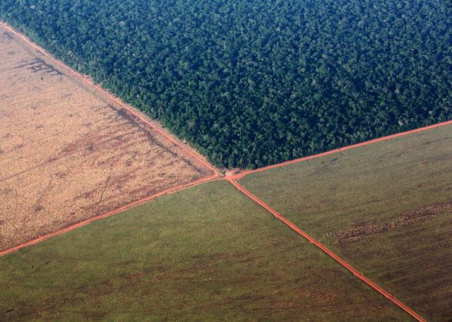 FILE PHOTO: The Amazon rain forest (top), bordered by deforested land prepared for the planting of soybeans, in pictured in this aerial photo taken over Mato Grosso state in western Brazil, October 4, 2015.  REUTERS/Paulo Whitaker 