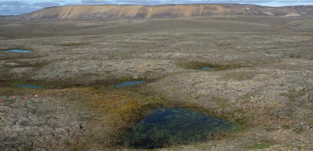 General view of a landscape of partially thawed Arctic permafrost near Mould Bay, Canada, in this handout photo released June 18, 2019. The image was captured in 2016 by researchers from the University of Alaska Fairbanks who were amazed to find the permafrost thawing 70 years faster than models predicted. Louise Farquharson/Handout via REUTERS