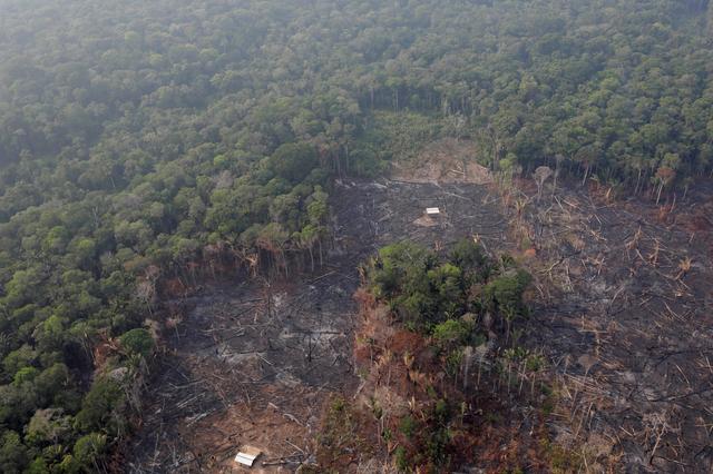 FILE PHOTO: An aerial view of a deforested plot of the Amazon near Humaita, Amazonas State, Brazil August 22, 2019/File Photo