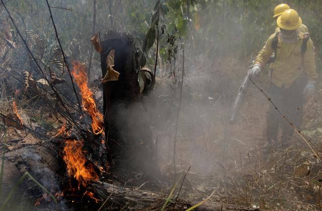 Firefighters extinguish a fire in Amazon jungle in Porto Velho, Brazil August 25, 2019. REUTERS/Ricardo Moraes