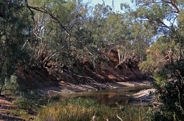 FILE PHOTO: The drought-affected Darling River sits well below its banks at Pooncarie, a town in outback western New South Wales, Australia April 25, 2019. REUTERS/Tom Westbrook