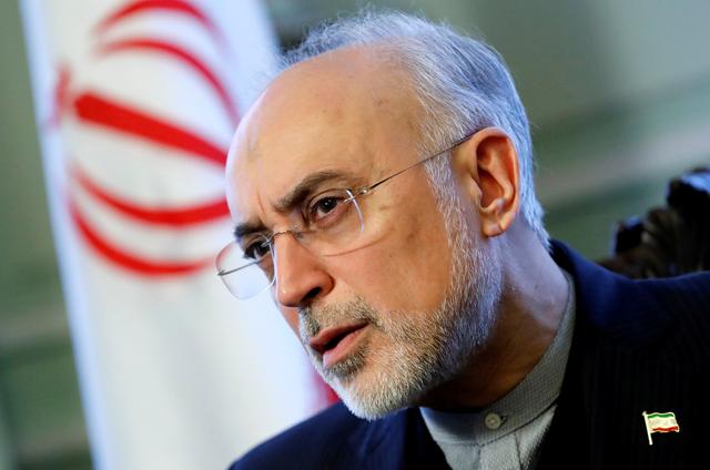 FILE PHOTO: Iran's nuclear chief Ali Akbar Salehi speaks to Reuters during an interview in Brussels, Belgium November 27, 2018.  REUTERS/Yves Herman