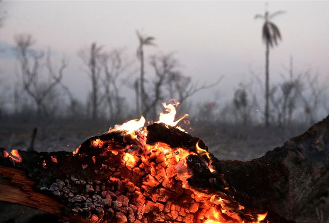 A tree trunk burns at the Guarani Nation Ecological Conservation Area Nembi Guasu in the Charagua region, an area where wildfires have destroyed hectares of forest, Bolivia August 29, 2019. REUTERS/David Mercado