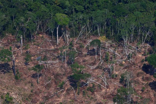 FILE PHOTO: A deforested and burnt plot is seen in Jamanxim National Forest in the Amazon, near Novo Progresso, Para state, Brazil September 11, 2019. REUTERS/Amanda Perobelli