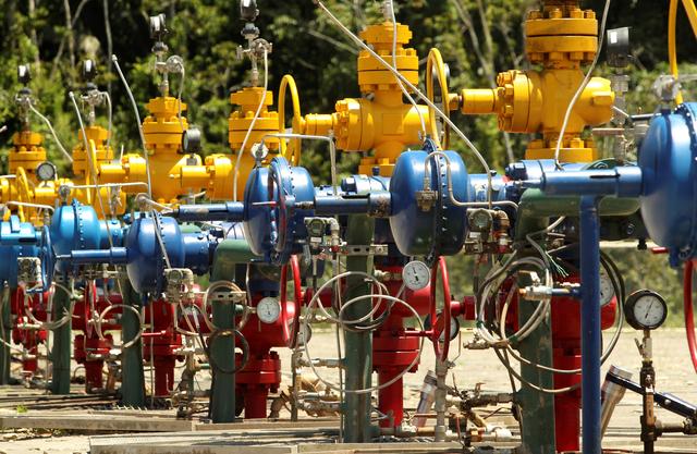 FILE PHOTO: Wellheads painted in the national colours are seen at an oil rig of Ecuador's state oil company Petroamazonas, in Tiputini, Ecuador October 19, 2017. REUTERS/Daniel Tapia