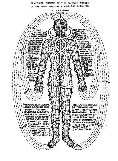drnicholascorrinomd.substack.com