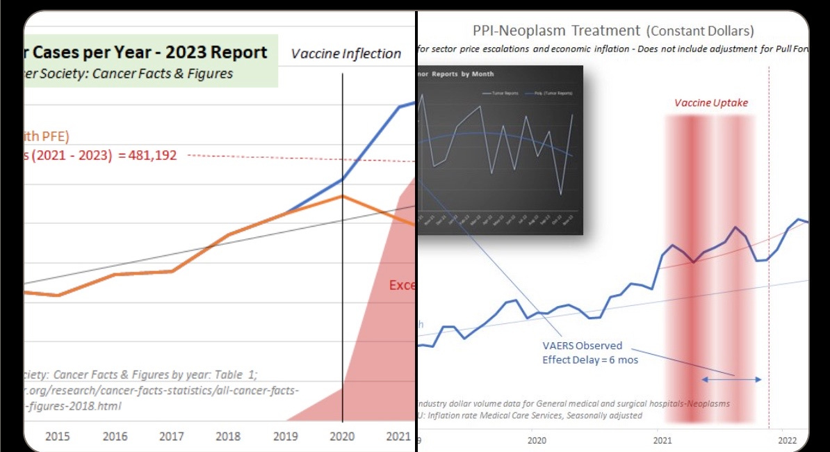 BOMBSHELL: Just Released American Cancer Society Annual Report On Cancer Showed 11.5% Excess Cases BOMBSHELL: Just Released American Cancer Society Annual Report On Cancer Showed 11.5% Excess Cases