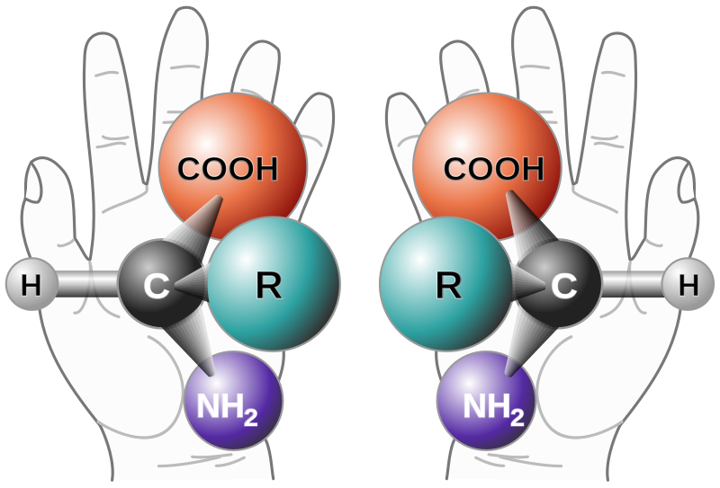 800px-Chirality_with_hands.svg.png