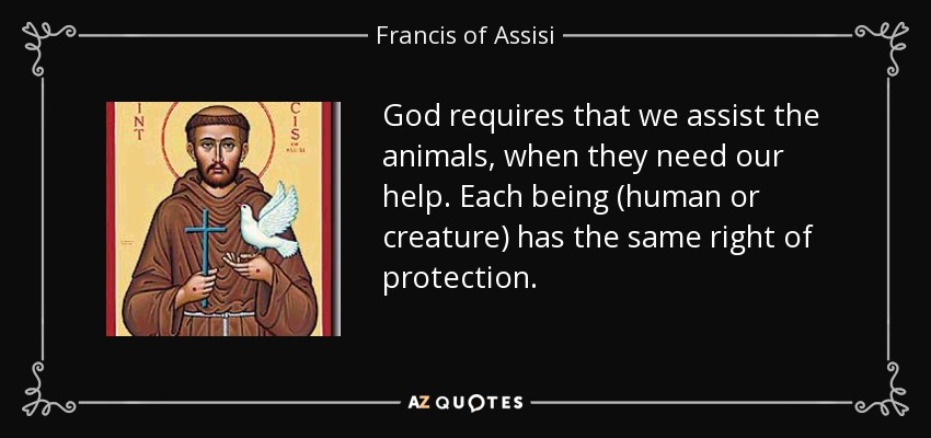 quote-god-requires-that-we-assist-the-animals-when-they-need-our-help-each-being-human-or-francis-of-assisi-84-87-22.jpg