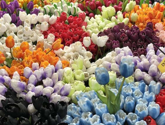 plastic-tulips-e1571307173670-560x427.jpg