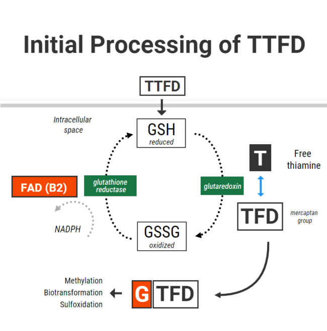TTFD and Glutathione