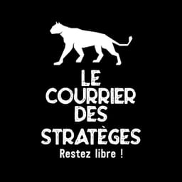 lecourrierdesstrateges.fr